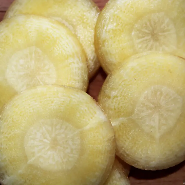 Carote bianche